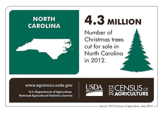 North Carolina sells the largest number of Christmas trees east of the Mississippi River – along with lots of agricultural products.  Check back next Thursday for more information from the 2012 Census of Agriculture and another state spotlight!