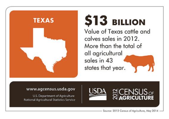 It’s no bull, and no fairy-tail (tale) – Texas cattle production alone is worth more than the total agricultural production of all but 6 states.  Check back next Thursday for more details on another state from the 2012 Census of Agriculture.