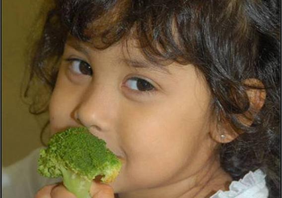 A young girl enjoying a healthy school lunch.   