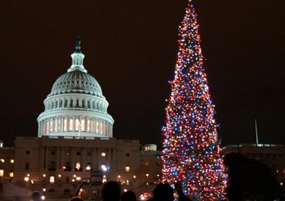 This image of the 2009 Capitol Christmas Tree shows the final destination for this year's Tree, being harvested this weekend in Wyoming from the Bridger-Teton NF." (US Forest Service photo by Keith Riggs) 