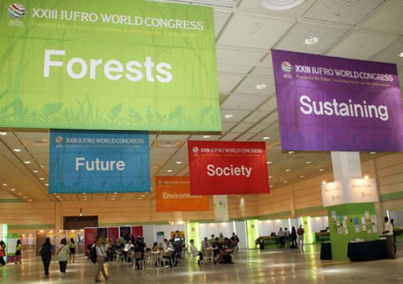 Huge banners extolling the pillars of the IUFRO World Congress greet the 1100-plus attendees to this international gathering in Seoul, Korea. (IUFRO photo) 