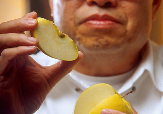 Fresh-cut apple slices like this one quickly turn brown and mushy when exposed to air.  USDA-ARS chemist Dominic Wong and his collaborators discovered a method to protect apple slices from browning.