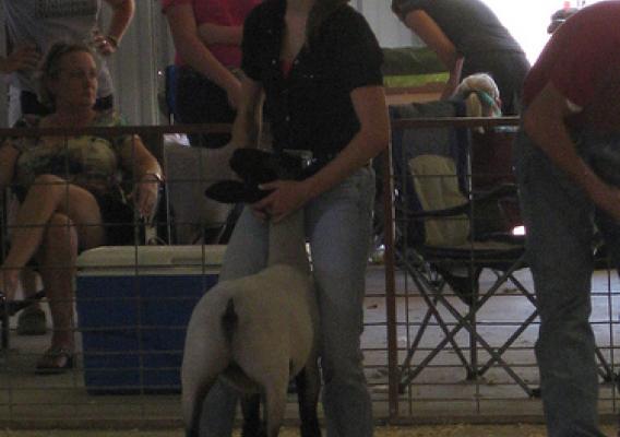 Carlye Dozier is a 17 year-old 4-H member who enjoys showing lambs as well as science. 