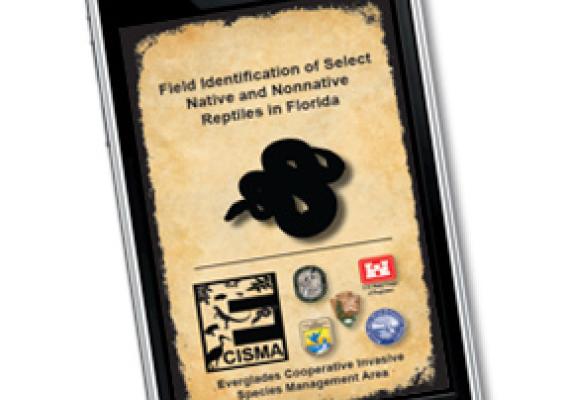 The University of Georgia’s Center for Invasive Species and Ecosystem Health has developed an iPhone app, called IveGot1, to help identify native and non-native reptiles in Florida.