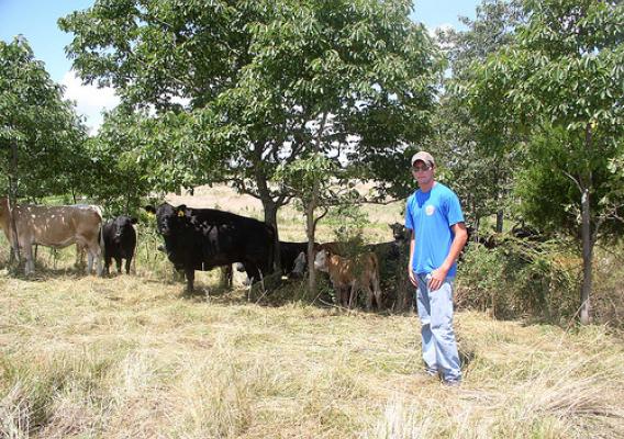 Tyler Brune’s work ethic not only allowed him to help his father maintain cattle, but also allowed him to build his own herd while studying full-time at Southeast Missouri State University.