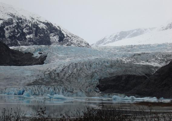 The 1500-pound glacial ice coming to the October 23-24 Science Fair came from a calved piece of the Mendenhall Glacier, like these seen floating in Mendenhall Lake on the Juneau Ranger District of the Tongass National Forest. (US Forest Service photo by Phil Sammon) 