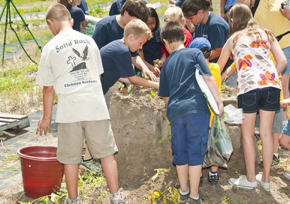 School groups and other participants planted new additions to the pollinator garden.