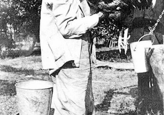 Pictured here with his pet rooster, March, Lue Gim Gong’s work with citrus trees helped develop a frost-tolerant orange after a disastrous winter in Florida.