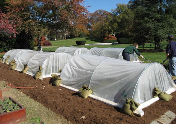 Completed hoop houses at the White House garden.