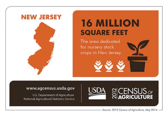 New Jersey really is the Garden State –  the state doubled its square footage for nursery stock crops in between the 2007 and the 2012 Census of Agriculture.  Check back next Thursday for another state profile.