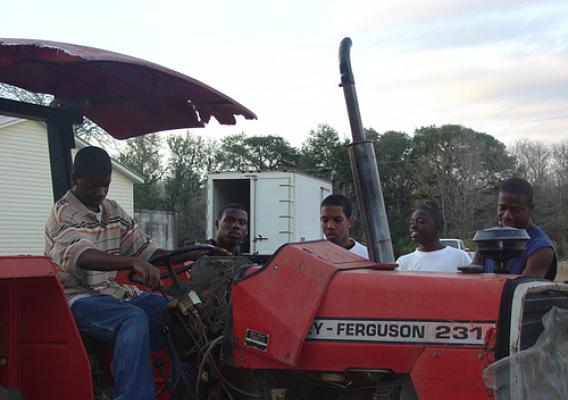 Young farmers in Florida participate in the New and Beginning Farmers Training Program to learn skills that will help them start successful farming operations.