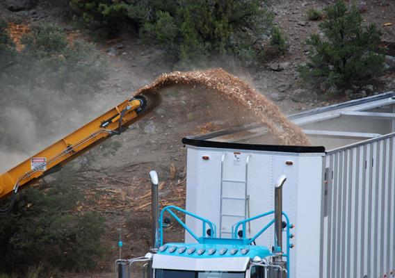 A truck is filled with wood chips as part of the process of turning wood into energy 