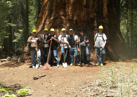 Members of the Central California Consortium stand in front of a massive tree, part of the natural resources they help sustain. (Photo by Central California Consortium)