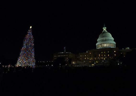 Only a massive tree will complement the expanse of the U.S. Capitol in Washington, D.C. The selected tree is usually between 60 feet and 80 feet tall and holds tens of thousands of lights. The ornaments are made by people – mostly children in many cases – who live in the state where the tree is harvested. (Courtesy Architect of the Capitol)
