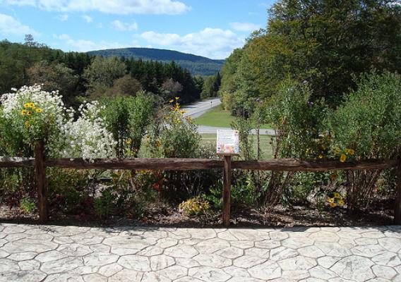 The Cranberry Mountain Nature Center Native Plant and Pollinator Garden is located along an accessible walkway with views of the highland Scenic Highway. (U.S. Forest Service photo/Diana Stull)