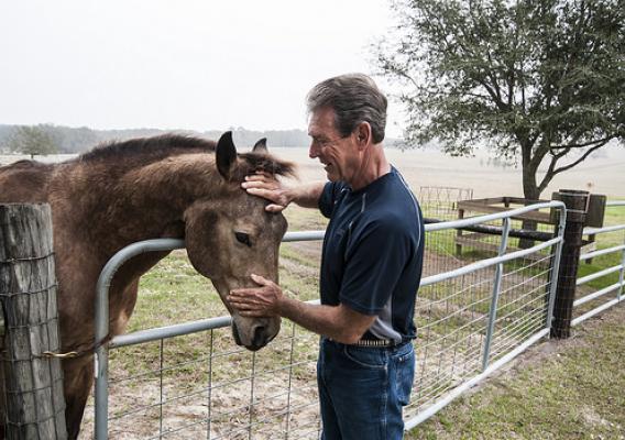 John Bushell with one of the horses on his ranch west of Dade City, Fla. NRCS photo.