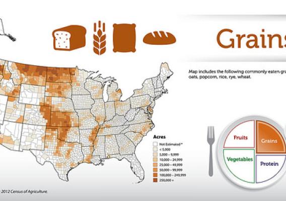 Map includes the following commonly eaten grains: oats, popcorn, rice, rye, wheat. Source: 2012 Census of Agriculture. Click to enlarge.
