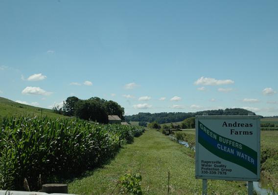 Andreas Farm installed a buffer to help improve water quality. NRCS photo.