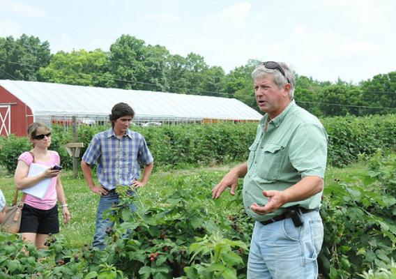 Wade Butler talks about how drip irrigation system benefits black raspberries on his farm.