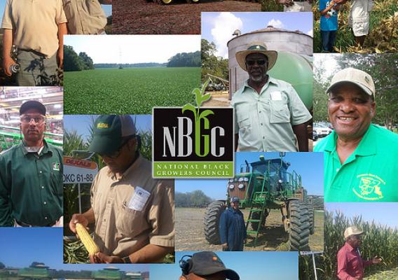 At AMS, we are committed to ensuring that all research and promotion boards are as diverse as the members they serve. Photo courtesy of National Black Growers Council.