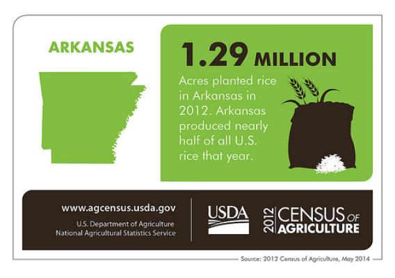 Variety.  Many Arkansas land-owners collectively harvest crops from catfish to poultry to rice to snap beans to watermelons, making Arkansas agriculture thrive.  Check back next Thursday for more interesting information on another state from the 2012 Census of Agriculture!