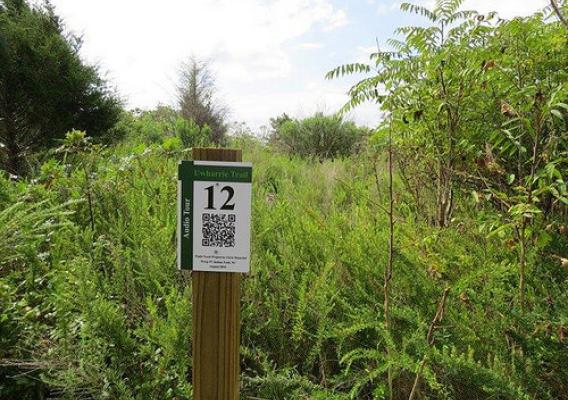 Audio stop 12 is among the two dozen posts with QR codes that tell the history of the Uwharrie National Recreation Trail. (Photo courtesy The LandTrust for Central North Carolina)