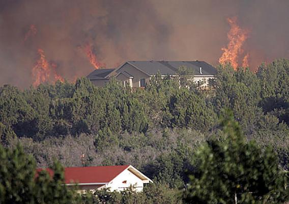 A wildland fire burning in front of houses and trees