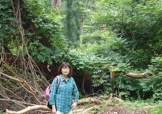 Dr. Yude Pan, a U.S. Forest Service scientist and a lead author of a new report from the U.S. Forest Service finding that forests play huge role in reducing carbon and higher global temperatures.