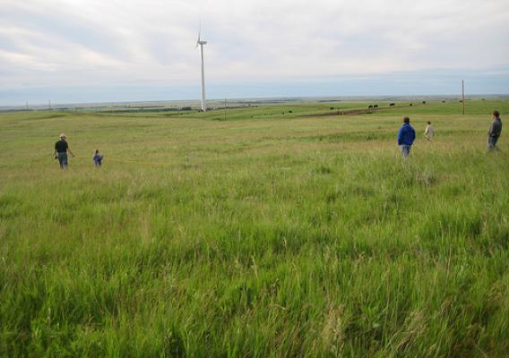 Bird watching tour participants help conduct a nest drag, a low-tech census of nesting birds, with Headley Ranch windmills in the background.