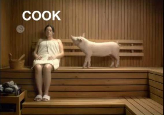 The Food Safe Families campaign uses humorous public service announcements to capture the public’s attention about a very serious subject. The “cook” PSA reminds consumers to cook foods to the right temperature using a food thermometer. 