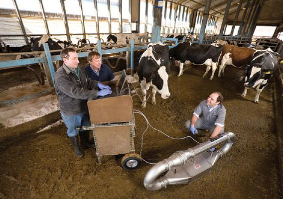 (Left to right) Pennsylvania State University agricultural engineer Michael Hile, ARS agricultural engineer Al Rotz and ARS research associate Felipe Montes use a dynamic flux chamber to measure the emission rates of gaseous compounds from manure on a dairy barn floor. ARS photo    