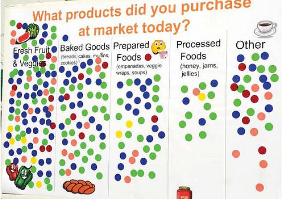 A sample of the DOT survey taken at the USDA Farmers Market in 2010.  Here, shoppers were able to indicate what products they purchased at the market.