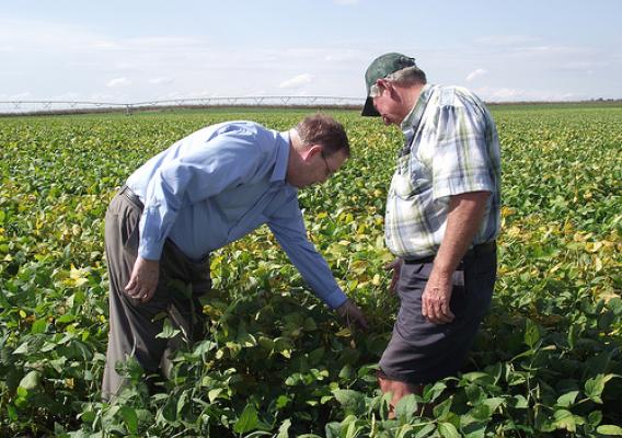Under Secretary Tonsager and Worton farmer Frank Dill inspect a field of soybeans grown with the assistance of the County's spray irrigation system.