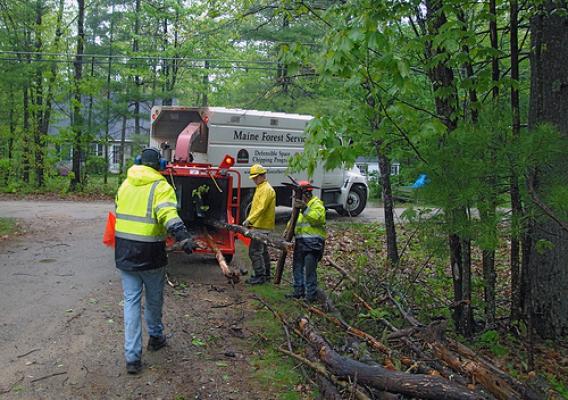 Maine Forest Service, public works, and Waterboro Fire Department chipping brush in May.