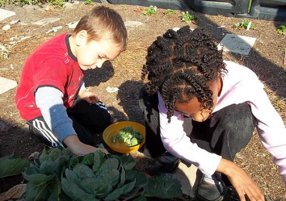 The A-B-C Garden at the Jewish Community Alliance of Jacksonville, FL helps support an early childhood curriculum.
