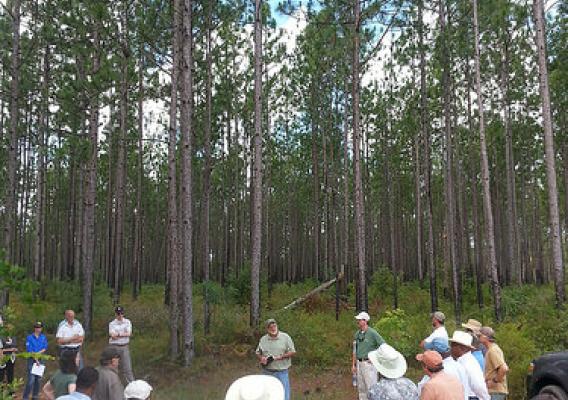A group touring a RCPP project area in the Coastal Headwaters Forest