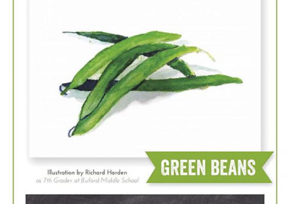 Harvest of the Month Green Beans Poster
