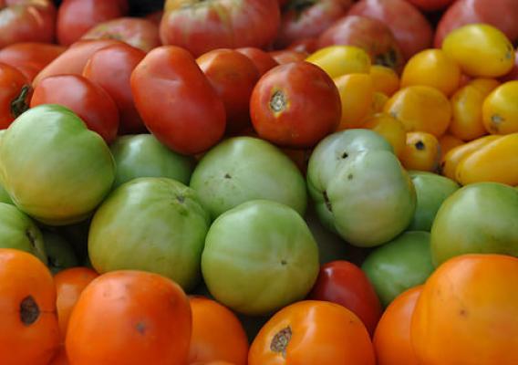 Fresh tomatoes for sale at the U.S. Department of Agriculture's (USDA) Farmers Market 