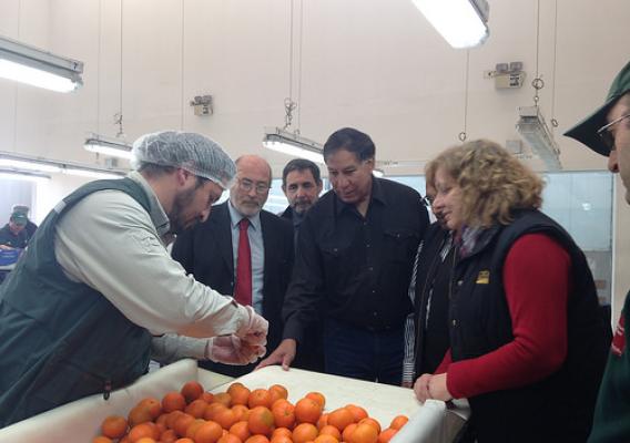 USDA Undersecretary Edward Avalos visits an inspection site at the Chilean airport where commodities are evaluated before shipment to overseas markets.  Here, he inspects fruit bound for U.S. market to ensure they are free from damaging pests.