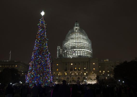 US Capitol Christmas Tree lighting up the West Lawn of Capitol Hill