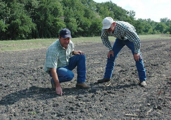 Stuart Fisher, left, shows NRCS soil scientist Tom Clark new grass growth.