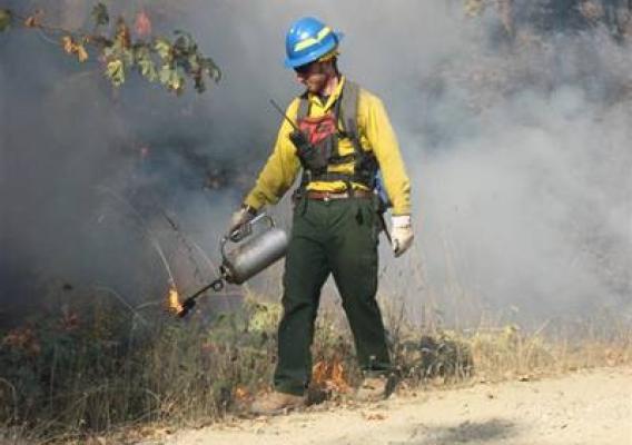 Prescribed burn.  U.S. Forest Service Photo