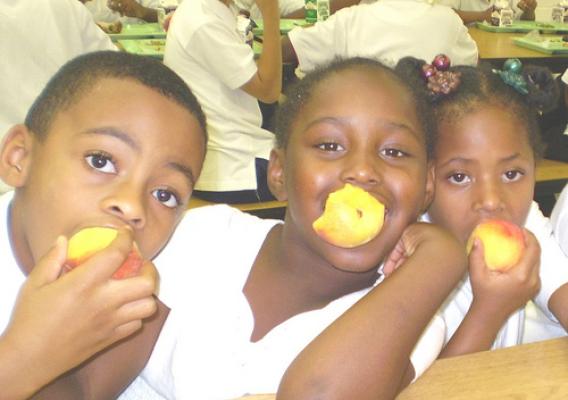 Chicago Public School students enjoying fresh peaches with “furry skin.”