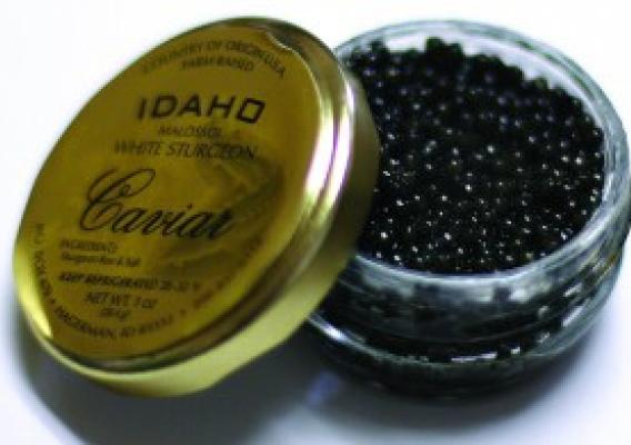 Using funding provided through the USDA Value Added Producer Grant program, an Idaho producer will expand sales of gourmet caviar. Photo by Ashley Smith, Times-News staff photographer, used with permission.