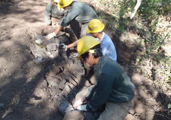 A Utah Conservation Corps crew works on a trail in Providence Canyon in Uinta-Wasatch-Cache National Forest,  during the summer 2011 work season.