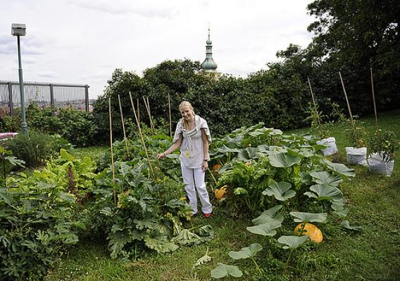 Shown in the first Czech People’s Garden, planted on the grounds of the U.S. Embassy in Prague, is Jana Mikulasova, an agricultural specialist with the Foreign Agricultural Service. (Photo courtesy of U.S. Embassy, Prague)
