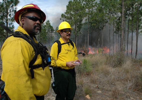 Fire Management Officer Mike Drayton, left, escorts Driss Misbah, a regional forester in northern Morocco during a prescribe fire demonstration on the Ocala National Forest. Photo Credit: Susan Blake, Public Affairs Specialist, National Forests in Florida