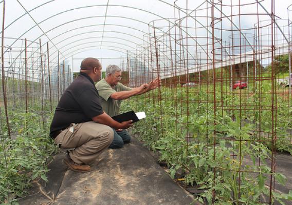 NRCS Supervisory District Conservationist Kelvin Jackson helped tomato producer Danny Daniels expand his farm and make it more environmentally friendly.
