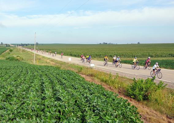 RAGBRAI riders traveling down the road toward the tent site. More than 9,500 people ride RAGBRAI each year. 