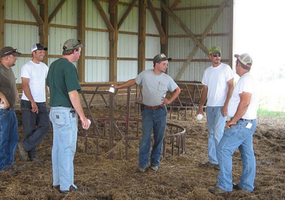 Participants of the BFRDP-funded KyFarmStart program in Kentucky listen to their instructor during an on-farm demonstration field day.